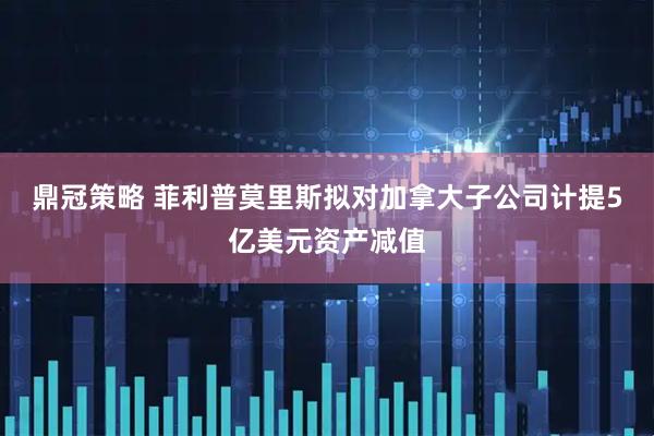 鼎冠策略 菲利普莫里斯拟对加拿大子公司计提5亿美元资产减值